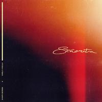 （53）Señorita-Shawn Mendes Camila Cabello xyst