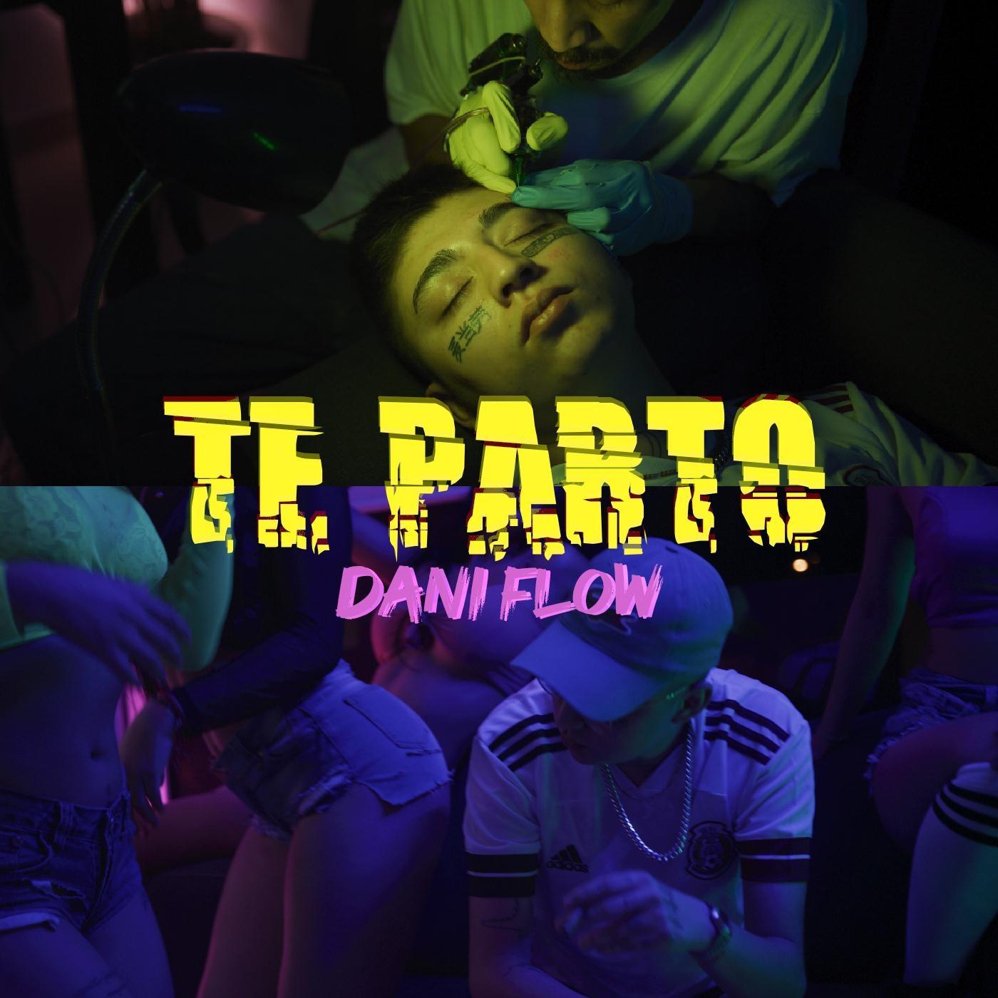 Dani Flow - Te Parto