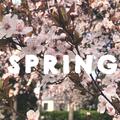 Spring