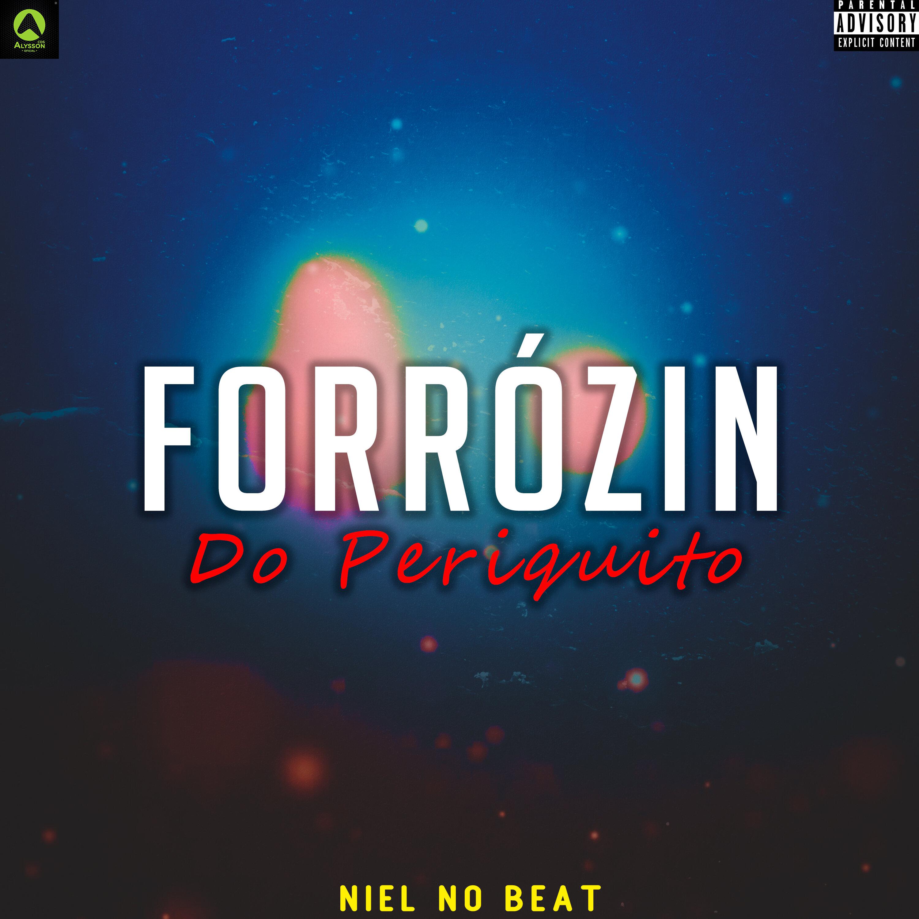 Niel No Beat - Forrózin do Periquito