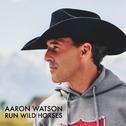 Run Wild Horses (Radio Edit)专辑