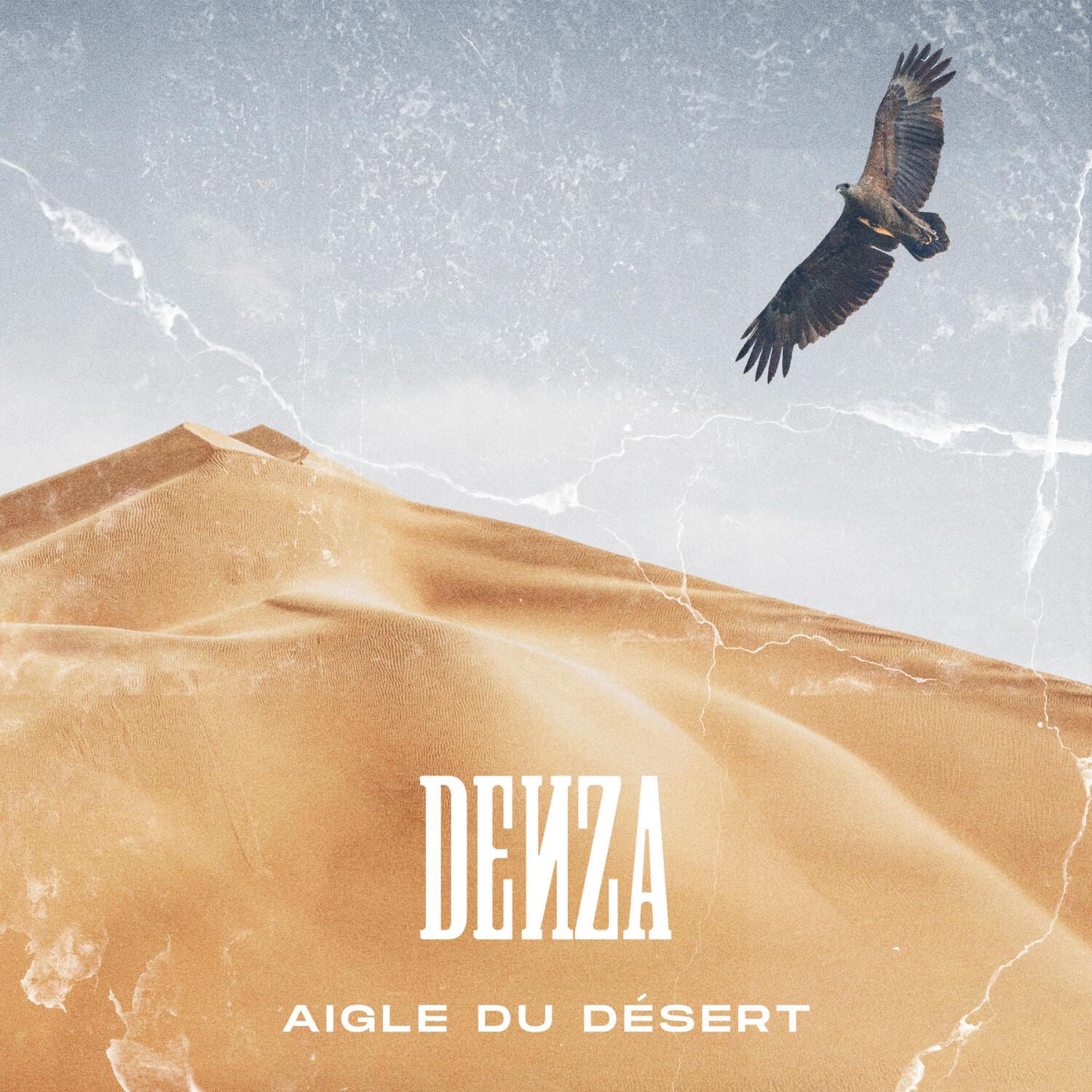 Aigle du désert