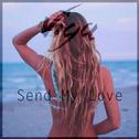 Send My Love (Viga Remix)专辑