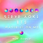 Waste It On Me (W&W Remix)专辑