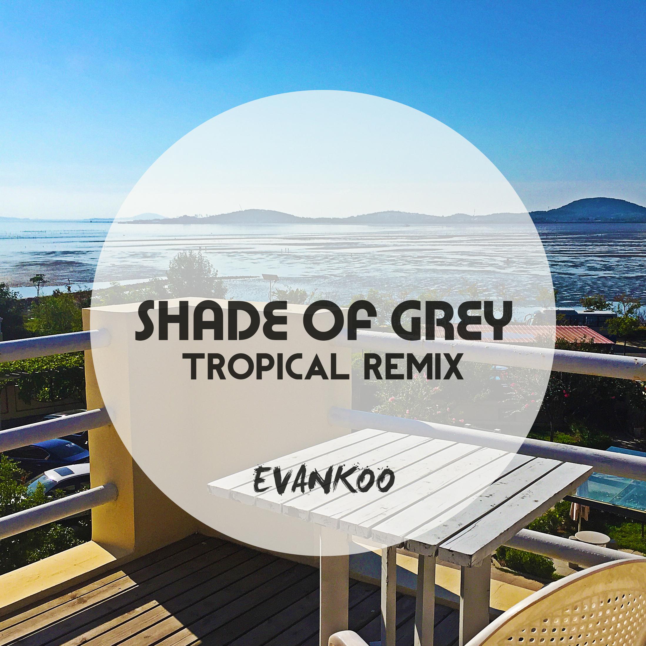 Shade Of Grey(Evankoo Bootleg Remix）专辑