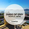 Shade Of Grey(Evankoo Bootleg Remix）