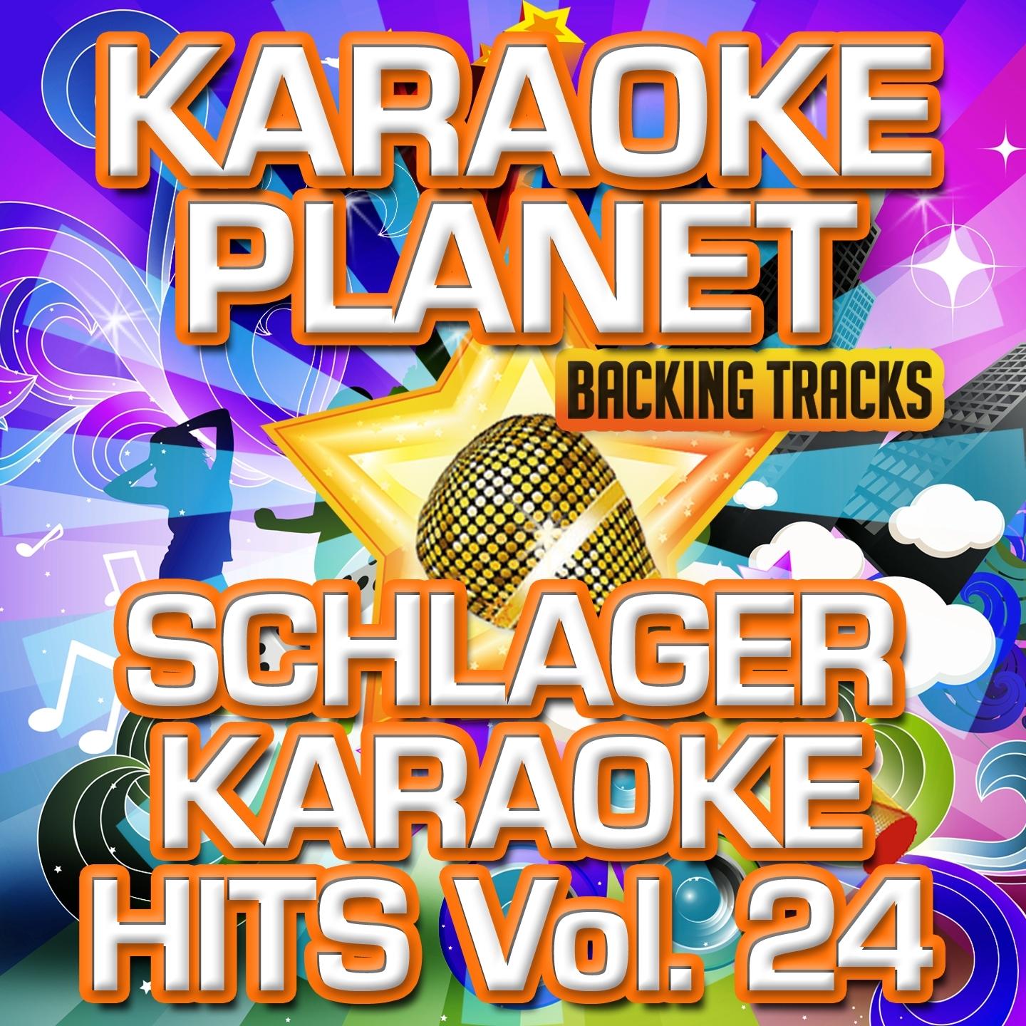 Schlager Karaoke Hits, Vol. 24