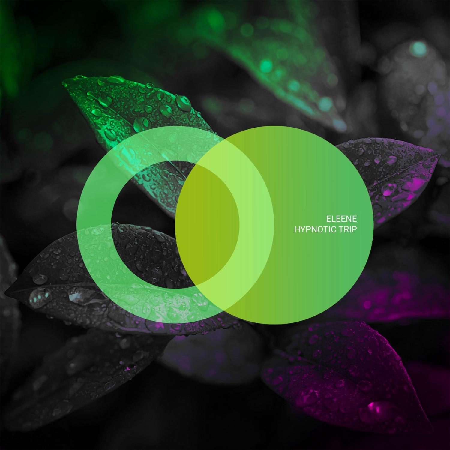 Hypnotic Trip