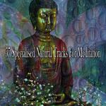 57 Specialised Natural Tracks For Meditation专辑