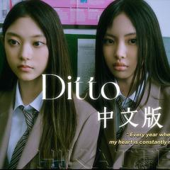 Ditto 中文版