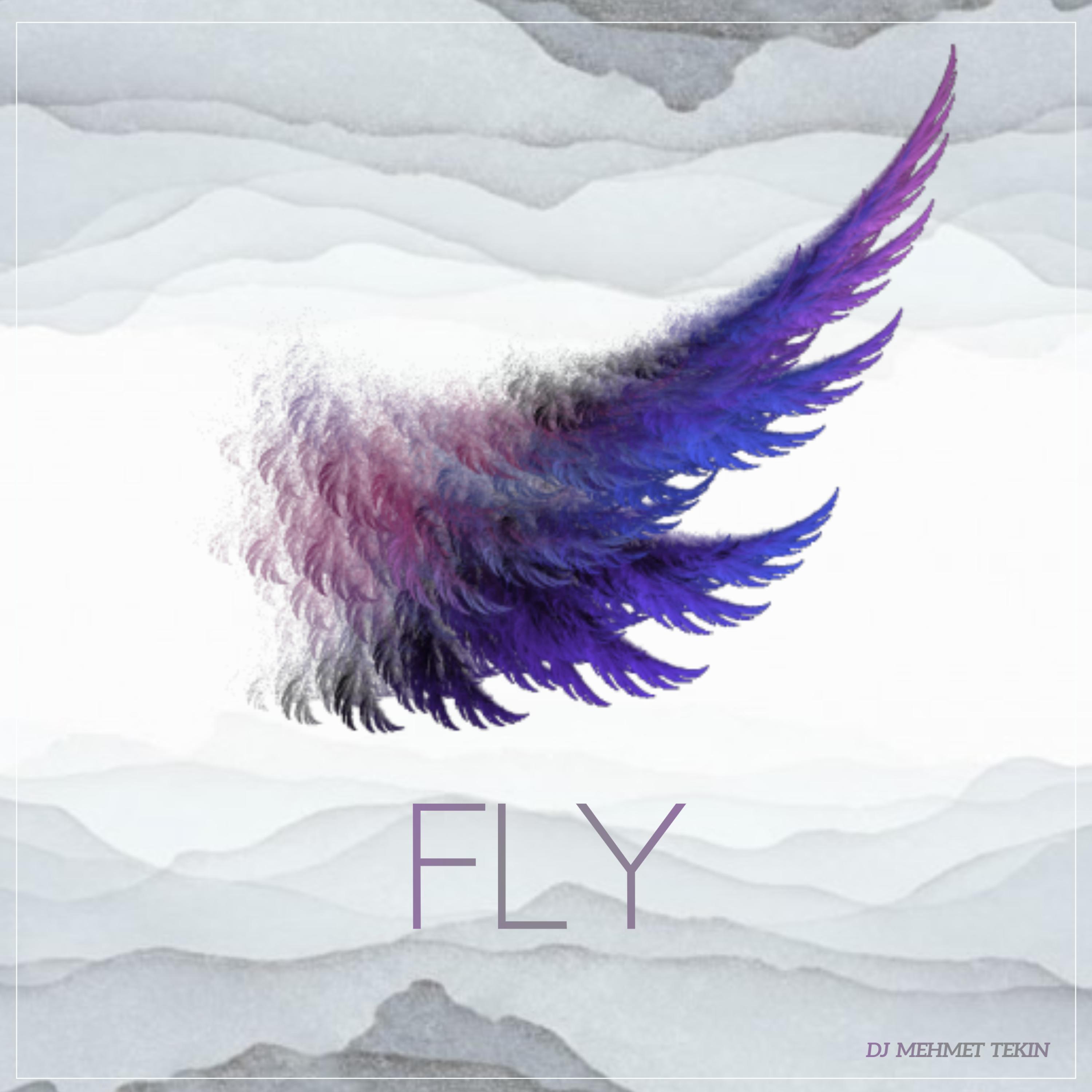 Fly