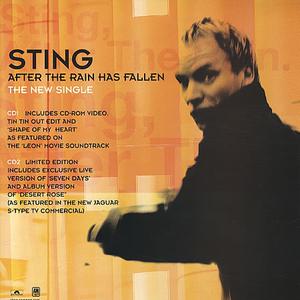 Sting - After The Rain Has Fallen (unofficial Instrumental) 无和声伴奏