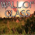 Wall Of Glass - Tribute to Liam Gallagher