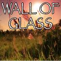 Wall Of Glass - Tribute to Liam Gallagher专辑