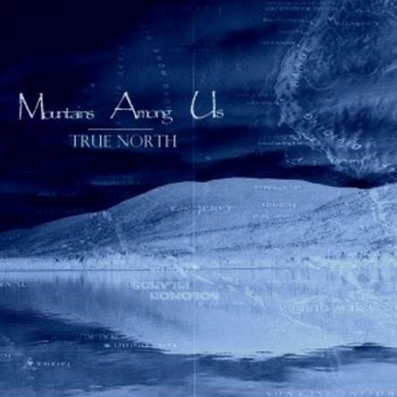 True North