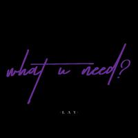 what U need（张艺兴 高音质 伴奏）