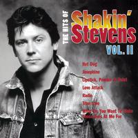 Shakin  Stevens - Tears (karaoke)