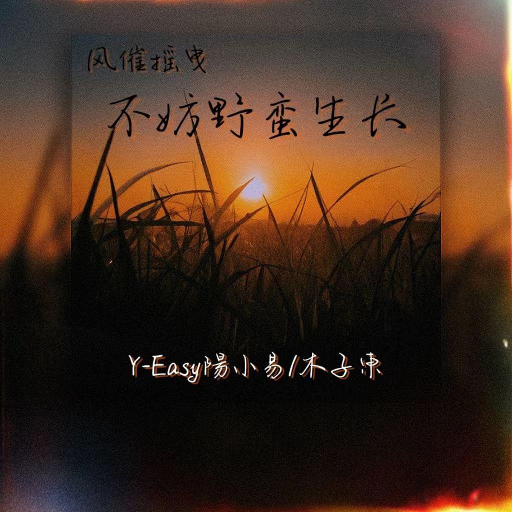 不妨野蛮生长