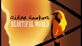 Beautiful World专辑