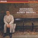 Beethoven: Diabelli Variations专辑