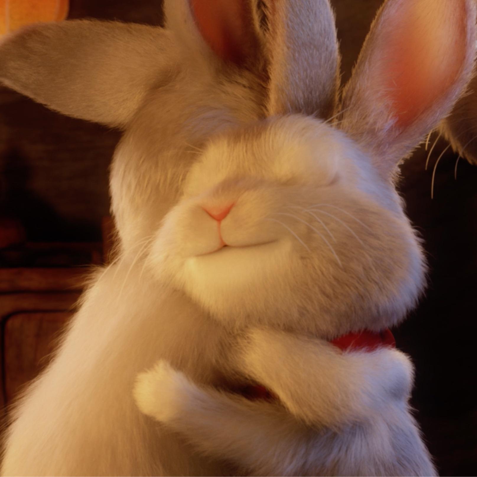 回家（农夫山泉兔年贺岁广告曲）