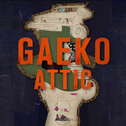 GAEKO ATTIC's 1st PIECE专辑