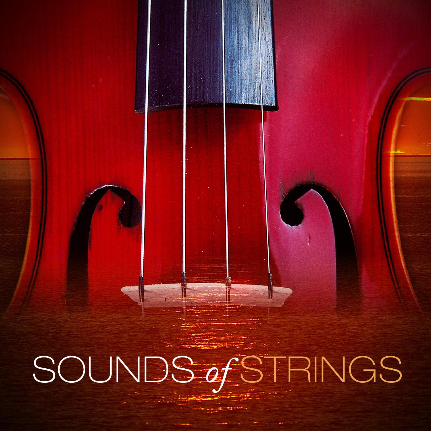 Sounds of Strings