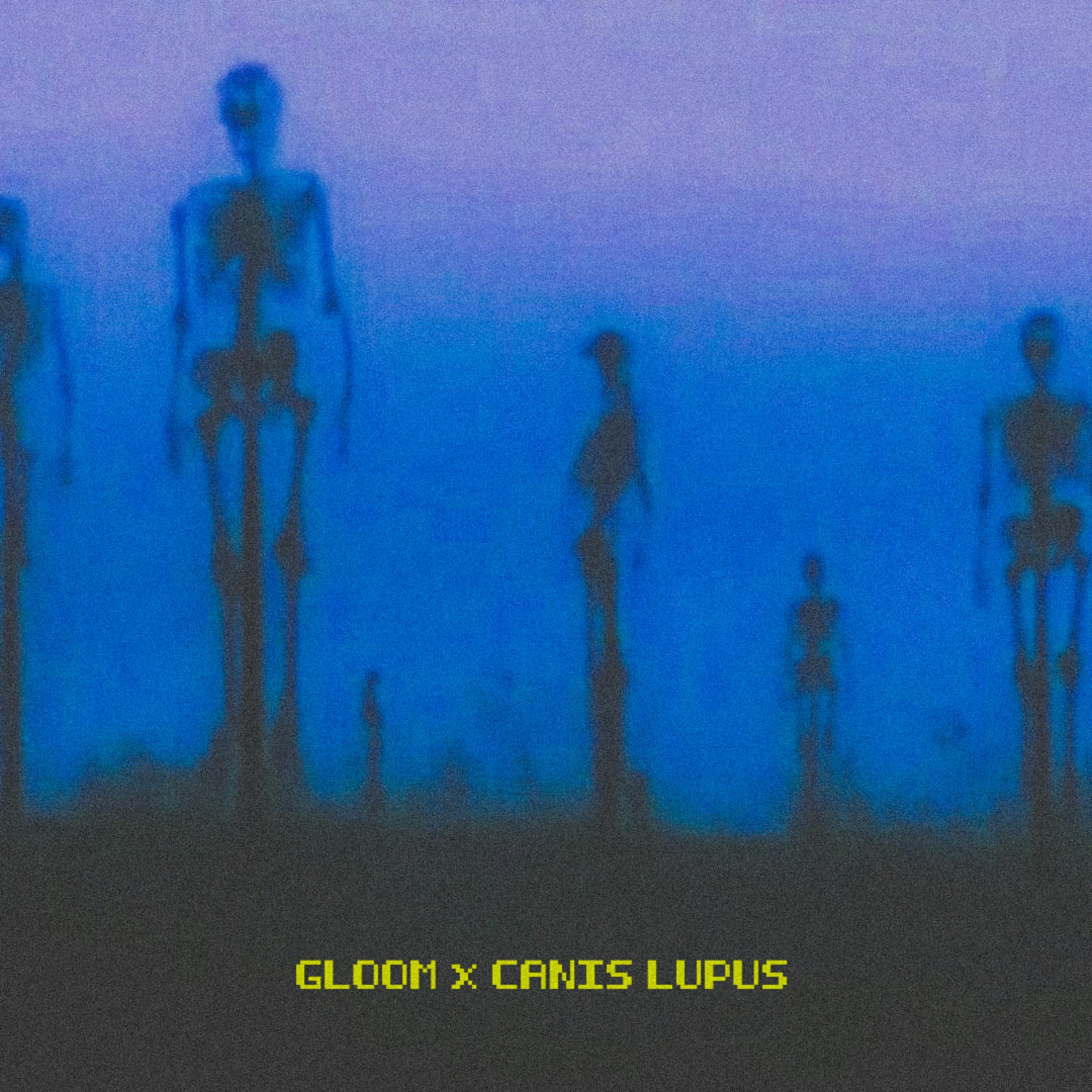 TALK IS CHEAP (feat. Canis Lupus)