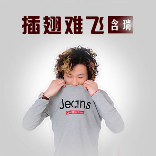 插翅难飞