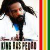 King Ras Pedro - Judgement a Come