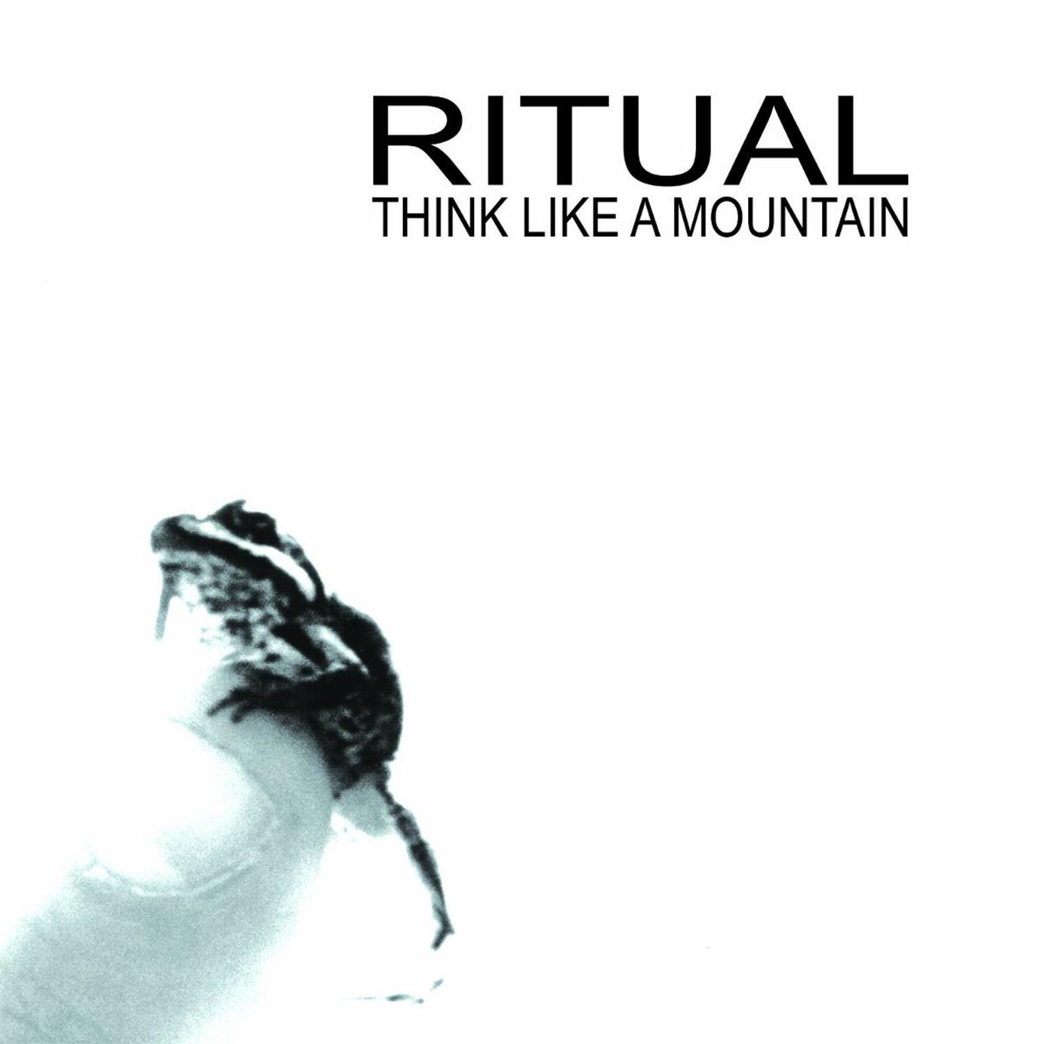 Think Like a Mountain
