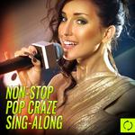 Non - Stop Pop Craze Sing - Along专辑