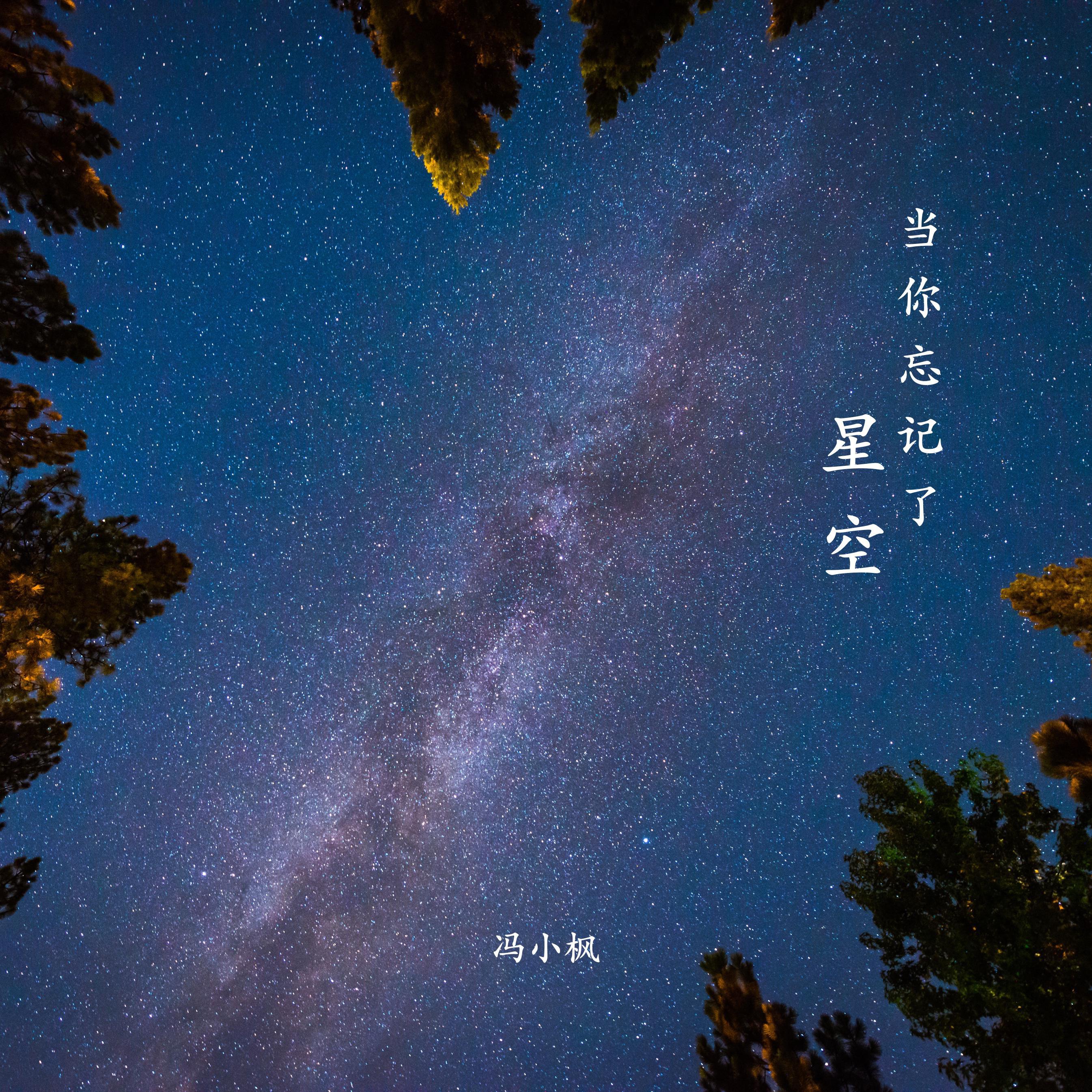 当你忘记了星空专辑