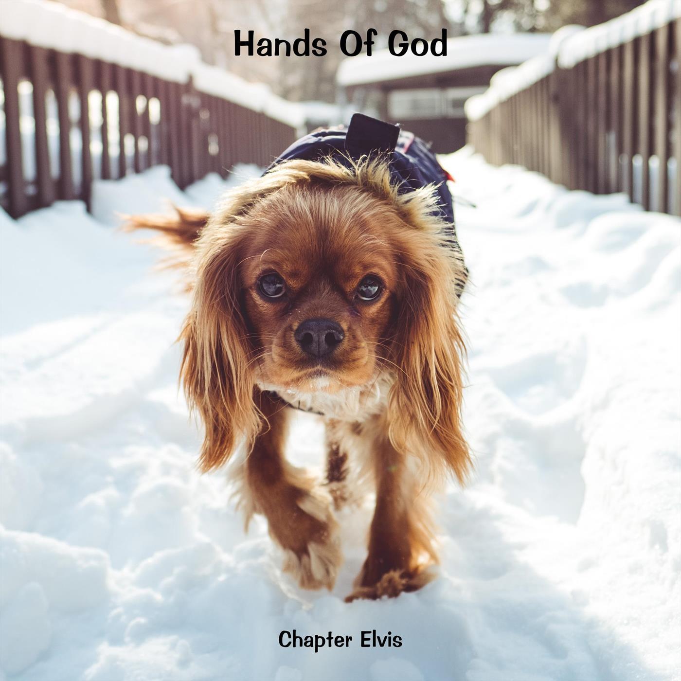 when the earth quakes