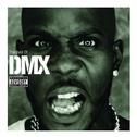 The Best of DMX