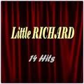 Little Richard (14 Hits)