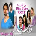 Bin Tere (From "Bin Tere")