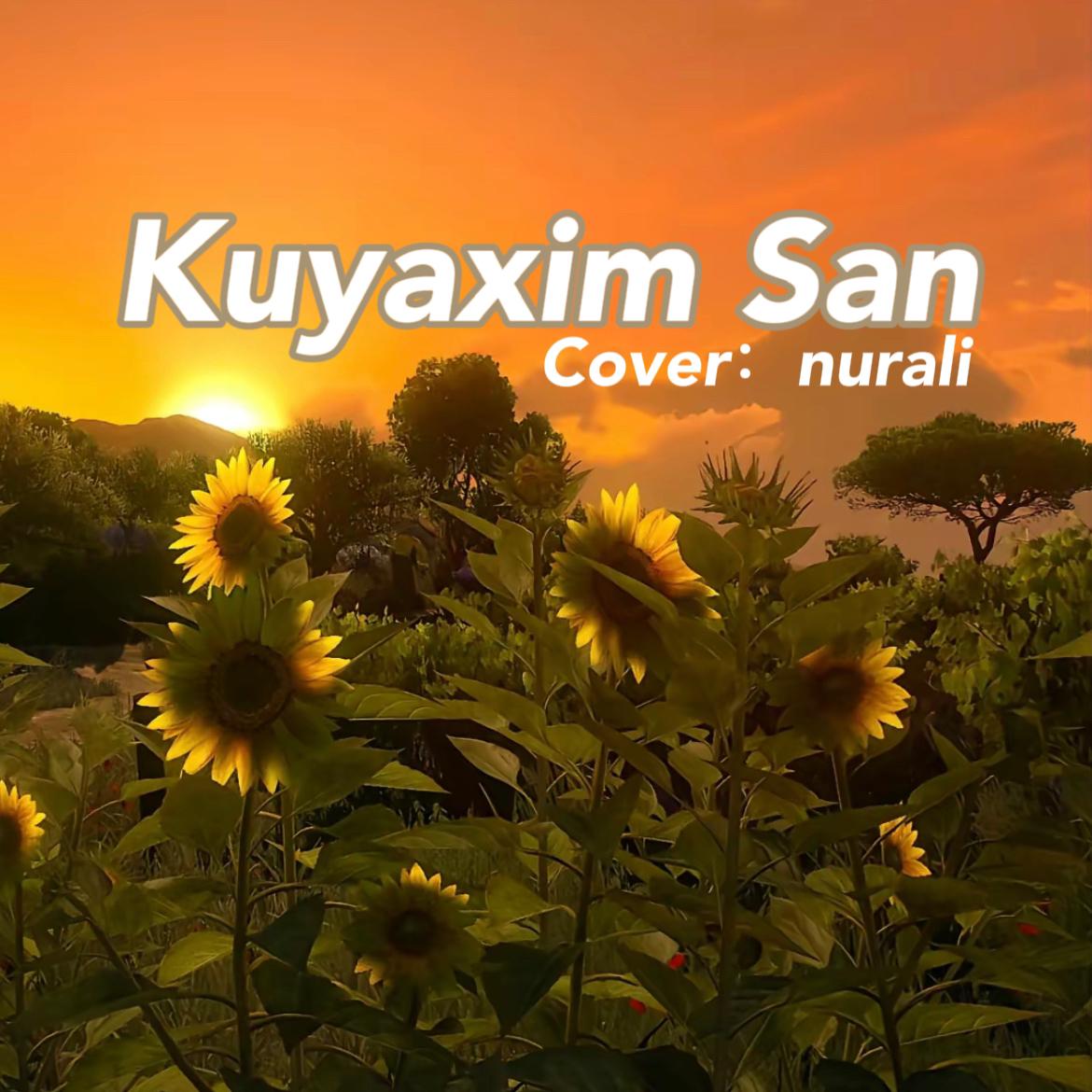 Kuyaxim san（翻自 Mr.Ike）