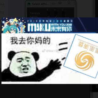北京场专用