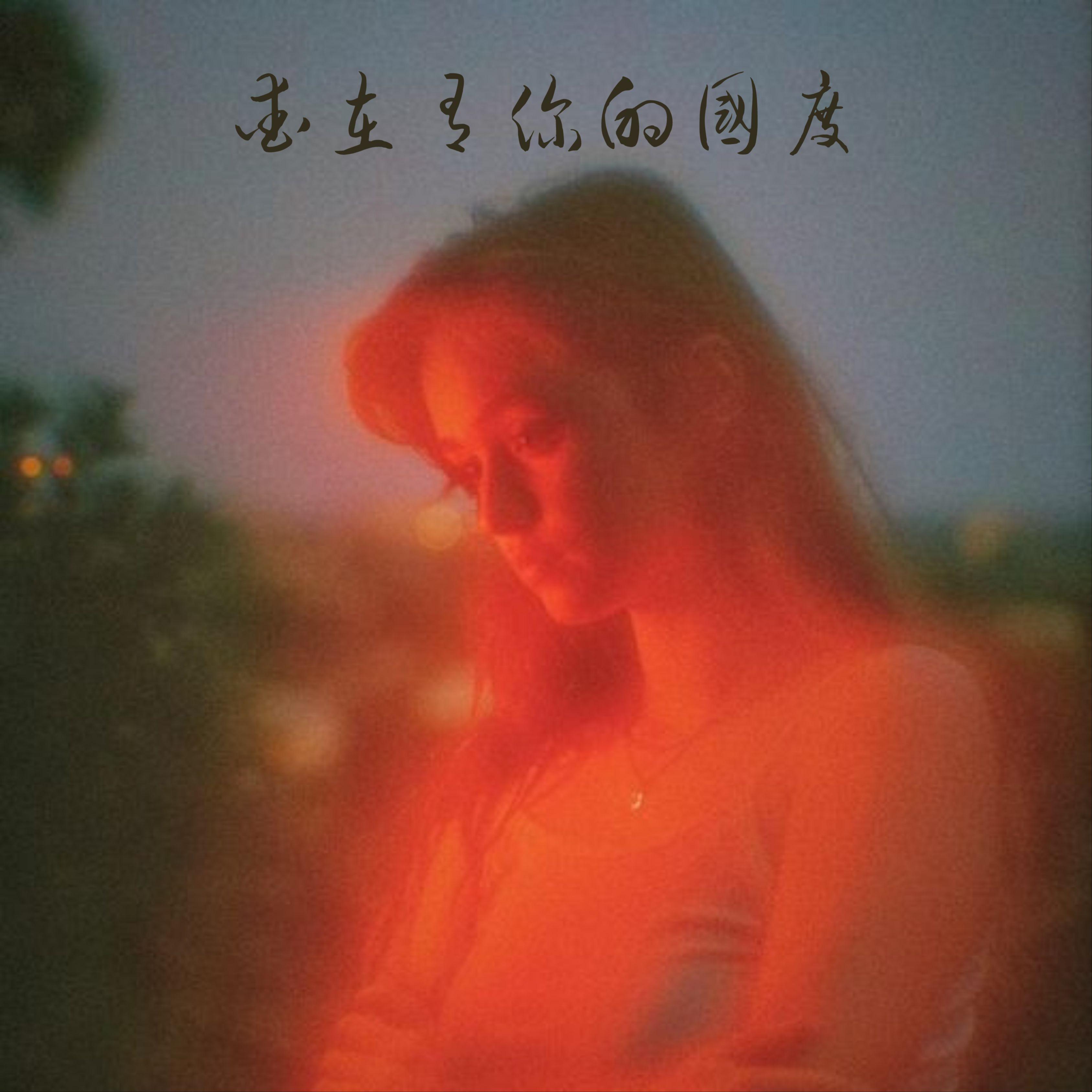 爱在有你的国度DJ版