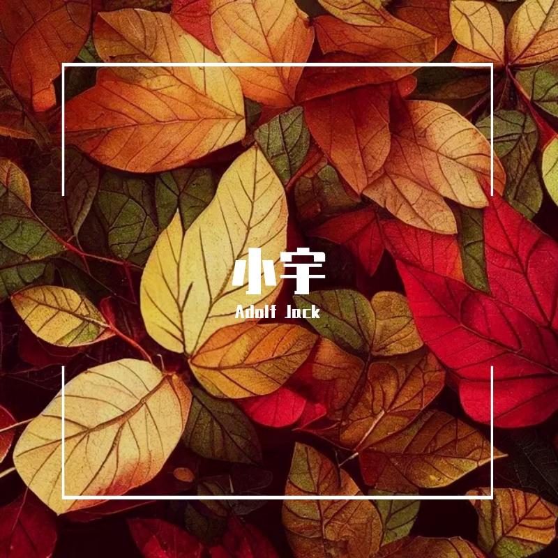 蓝心羽 - 小宇（Adolf Jack Remix）