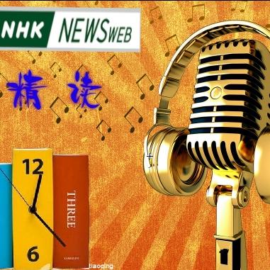 20100813NHK12点新闻