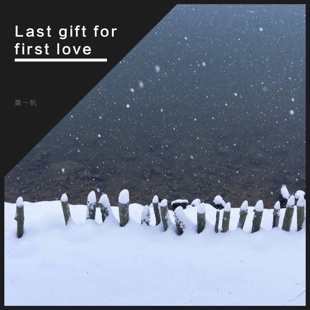 Last gift for first love专辑