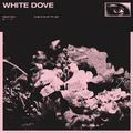 white dove