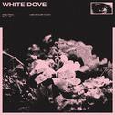 white dove专辑