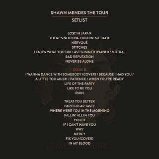Shawn Mendes Tour