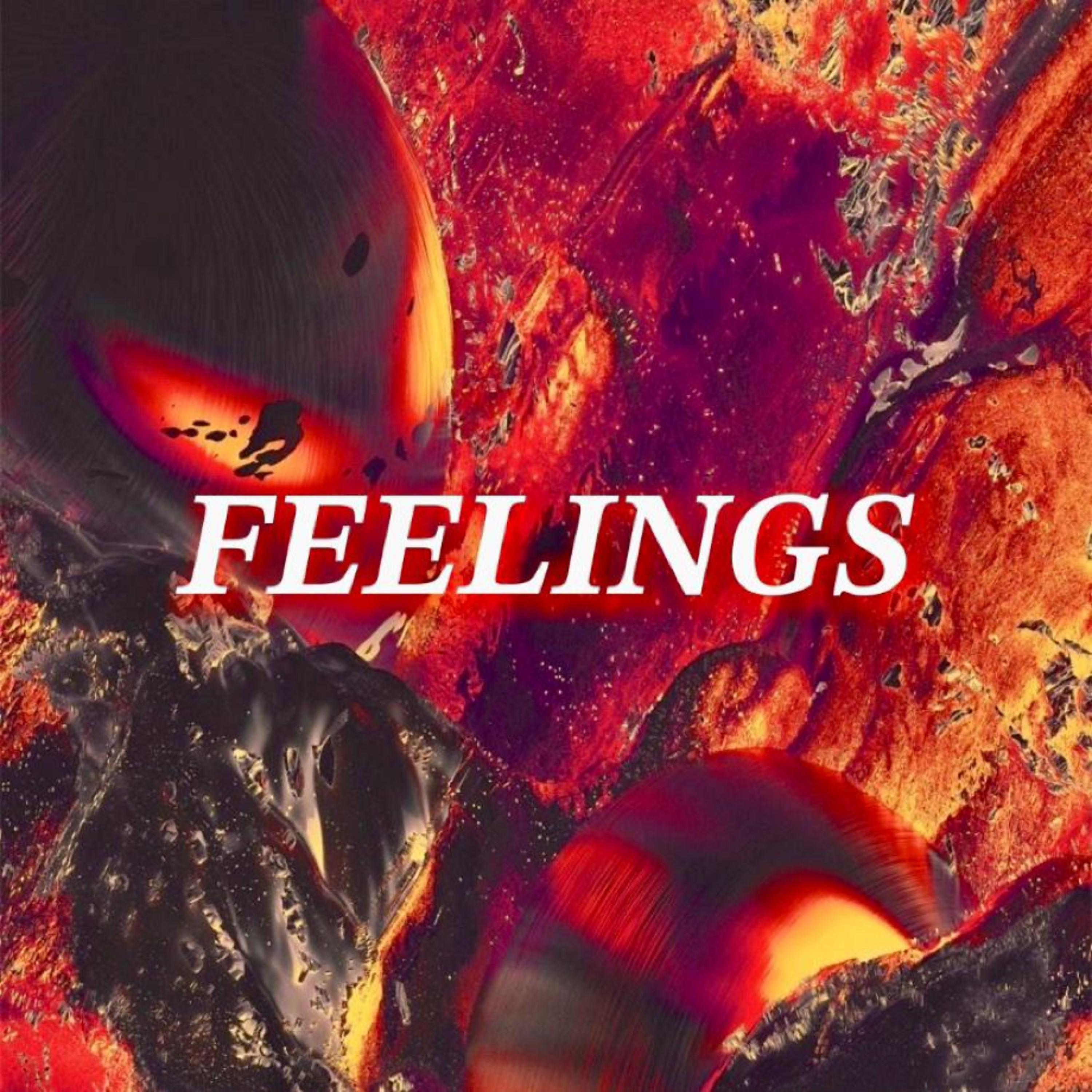 zefiorx - Feelings
