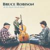 Bruce Robison - The Years