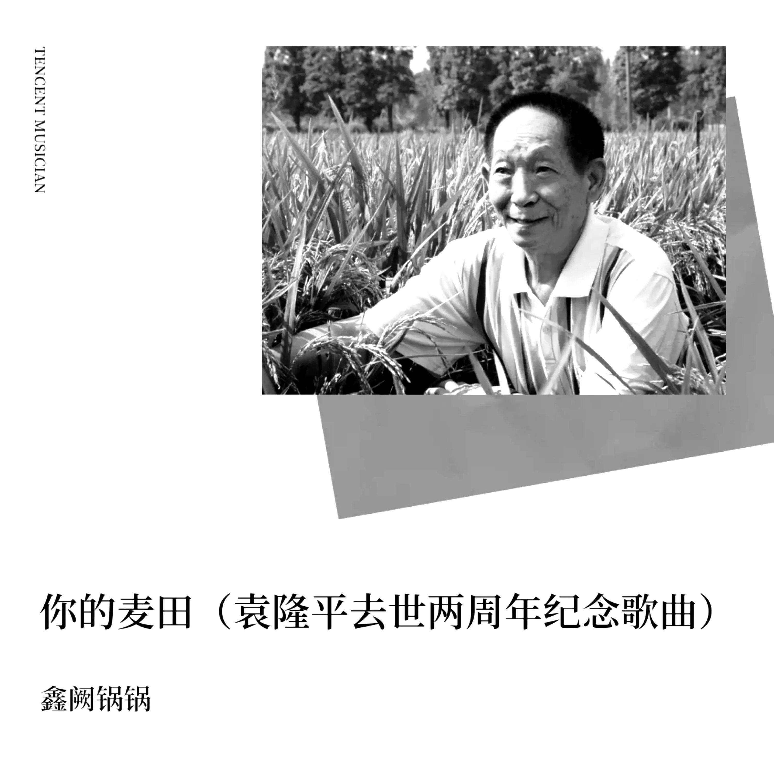 你的麦田（袁隆平去世两周年纪念歌曲）