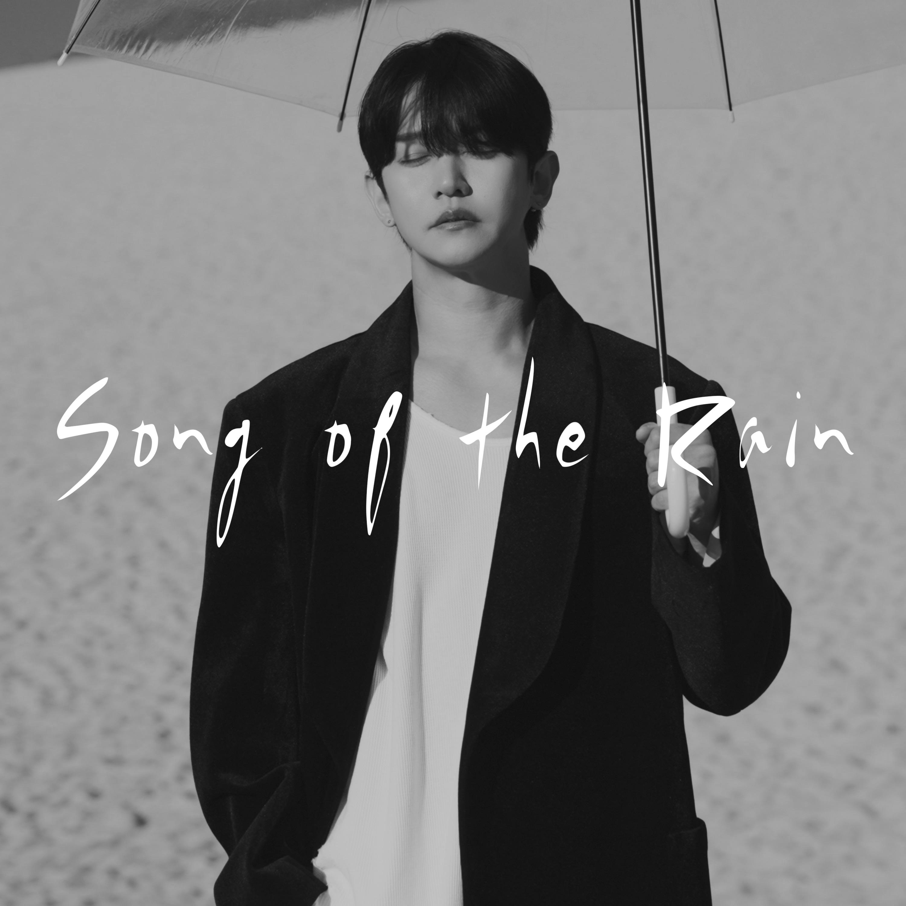 비의 노래